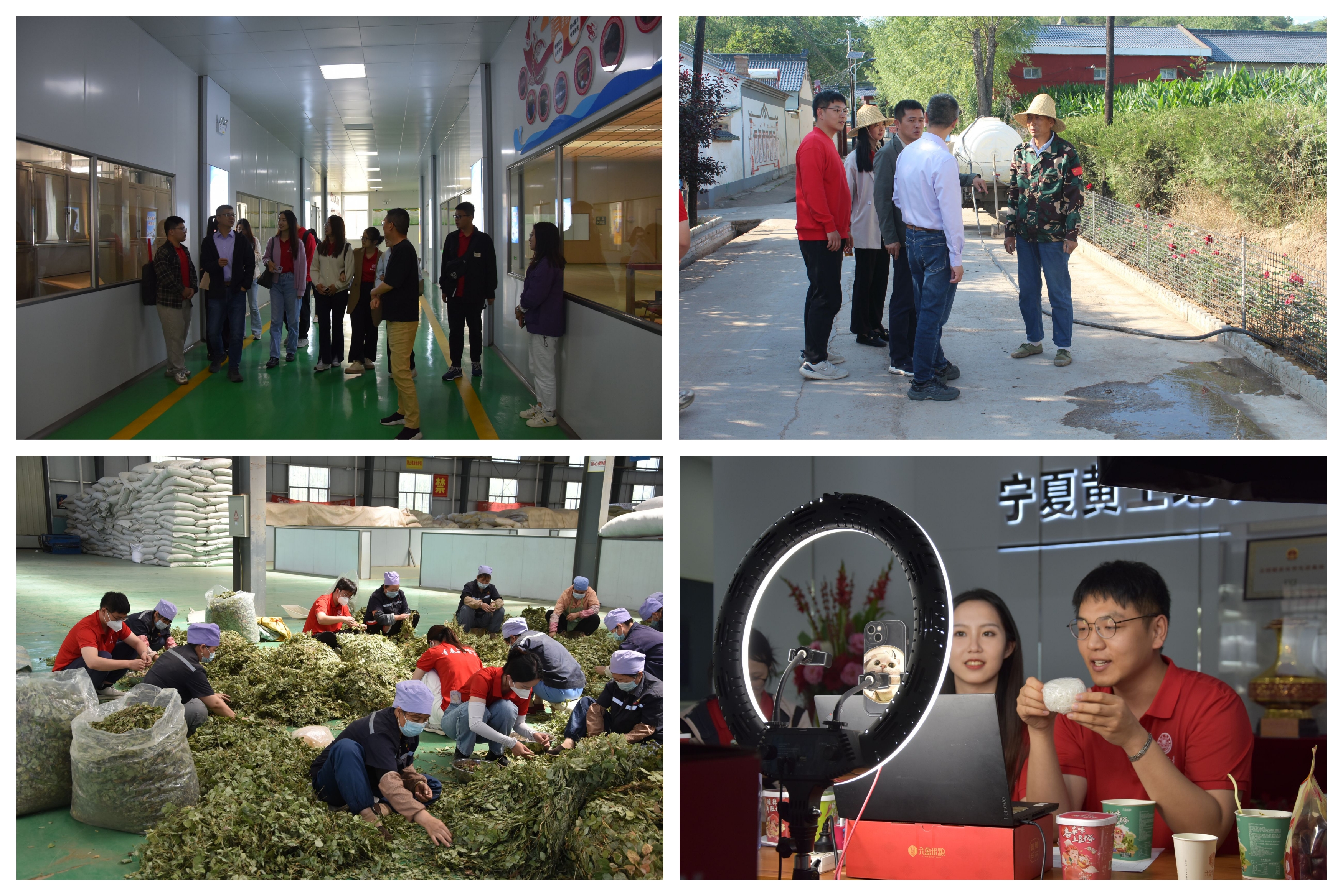 图片3.jpg 图片3.jpg